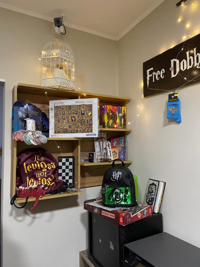 Hostel U Potteraチェルニウツィー エクステリア 写真